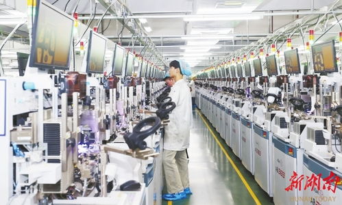 中部链出彩，并肩话崛起 技术开发的新篇章